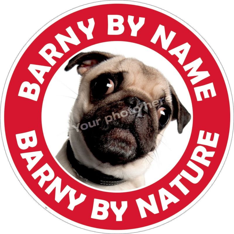 Barny by name Barny by nature