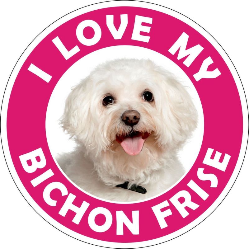 Bichon Frise sticker