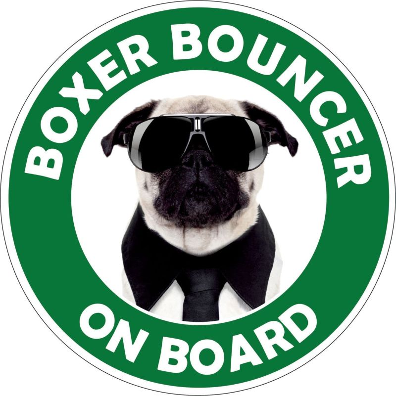 Boxer Bouncer On Board