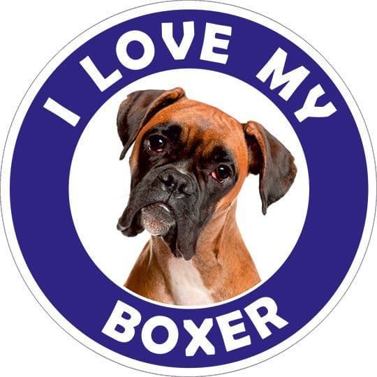 Boxer sticker