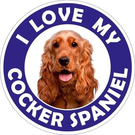 Cocker Spaniel sticker