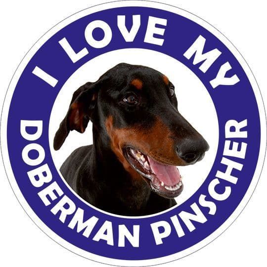 Doberman Pinscher sticker