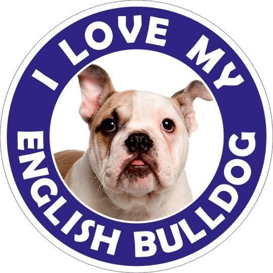 English Bulldog sticker