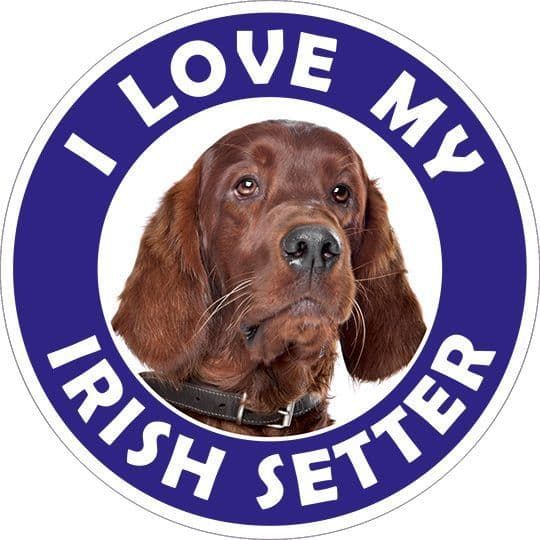 Irish Setter sticker