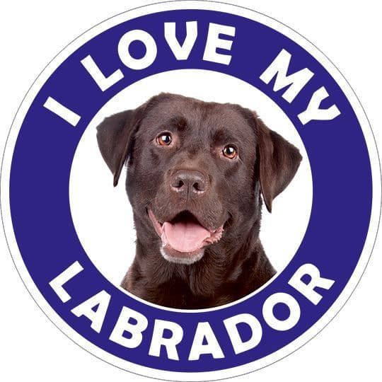 Labrador sticker