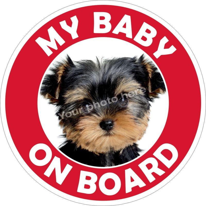 My Baby On Board