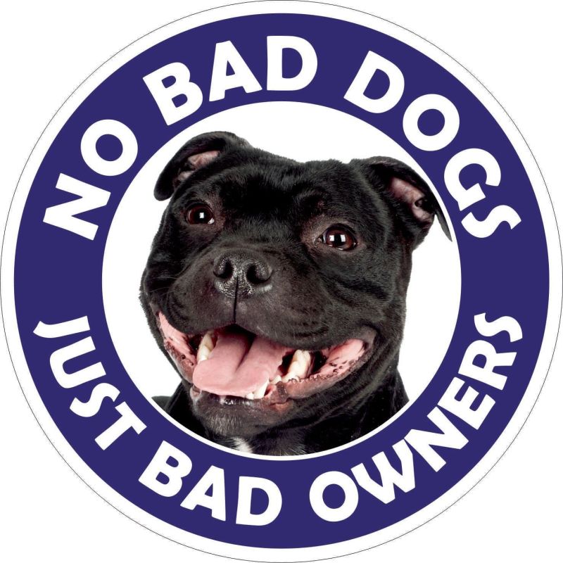 No Bad Dogs Just Bad Owners