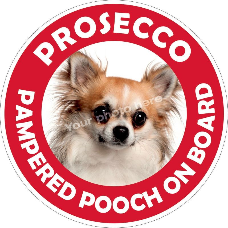 Pampered Pooch on board