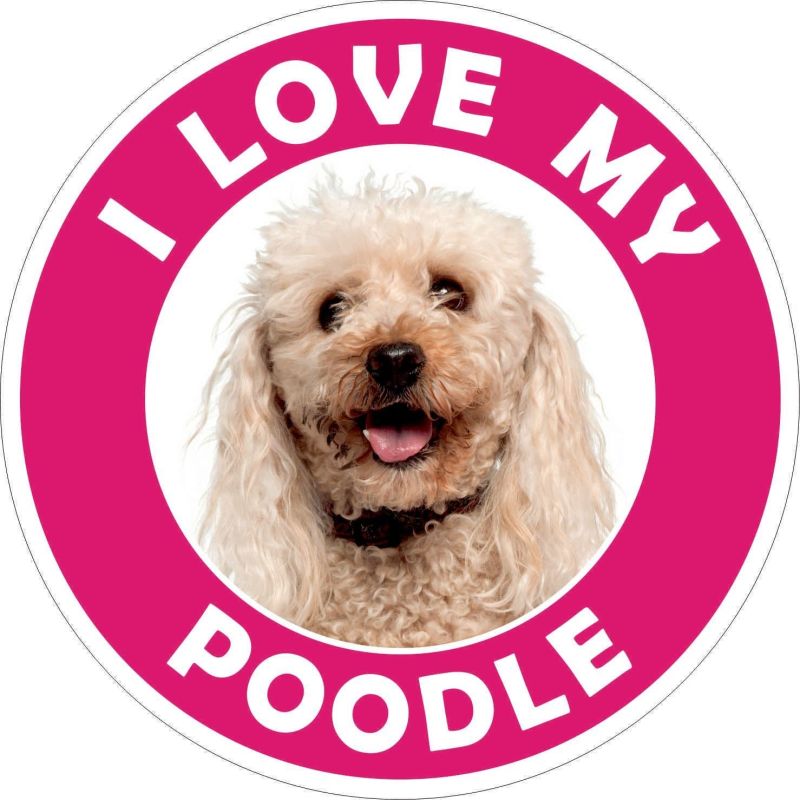 Poodle sticker