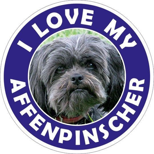 Affenpinscher Sticker