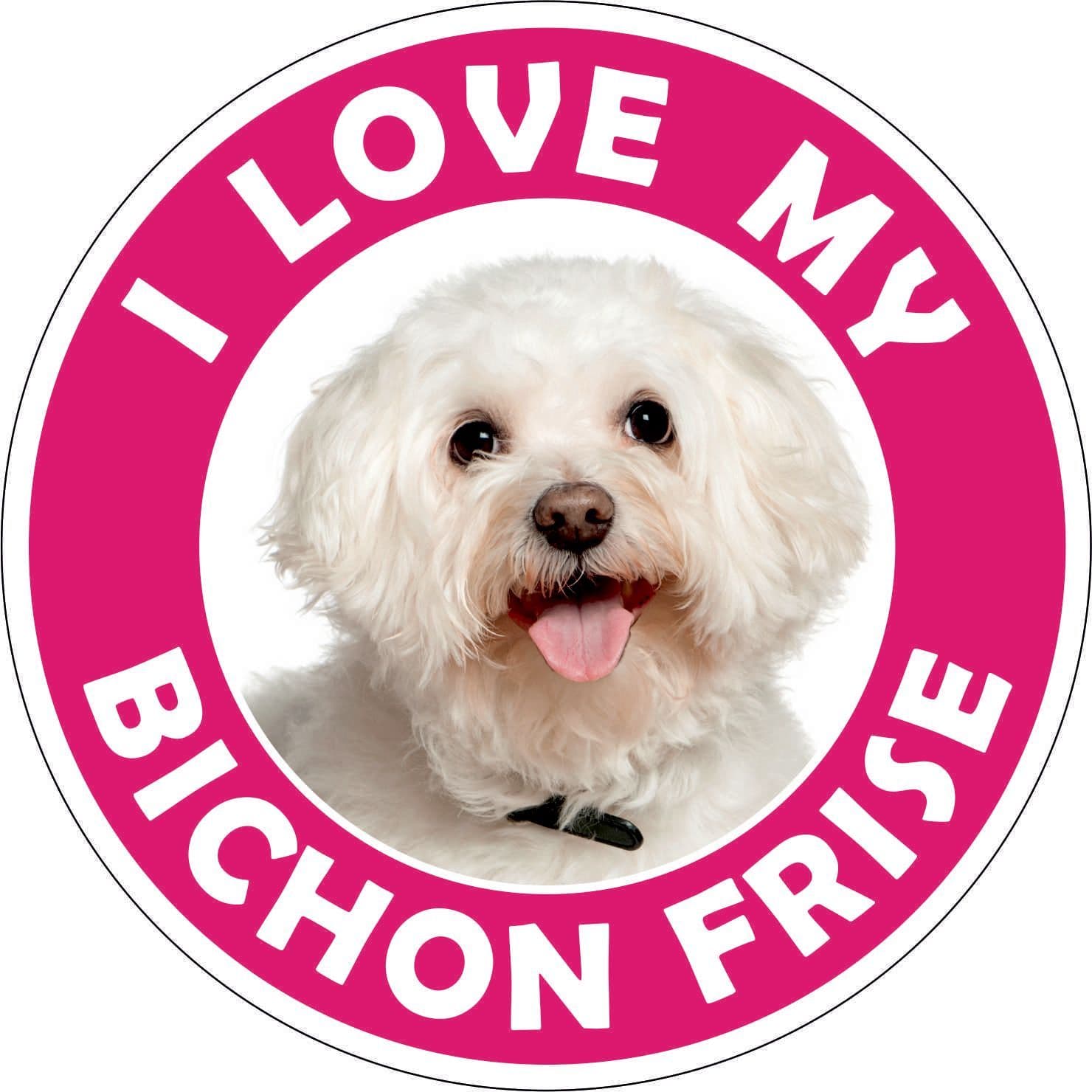 Bichon Frise sticker