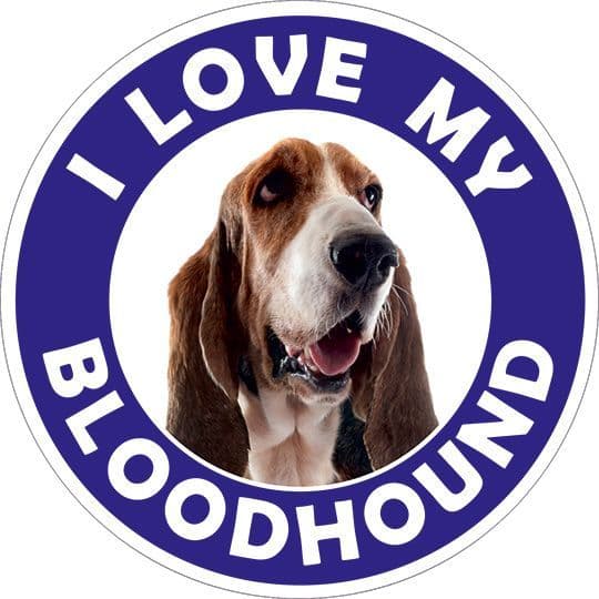 Bloodhound sticker
