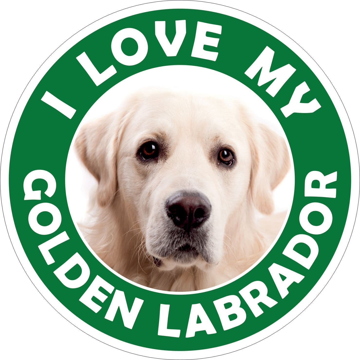 Golden Labrador sticker