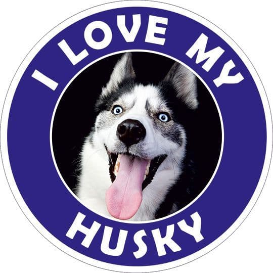 Husky sticker