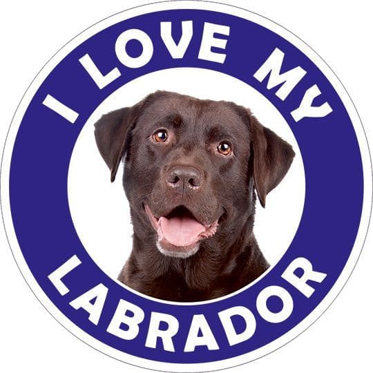 Labrador sticker