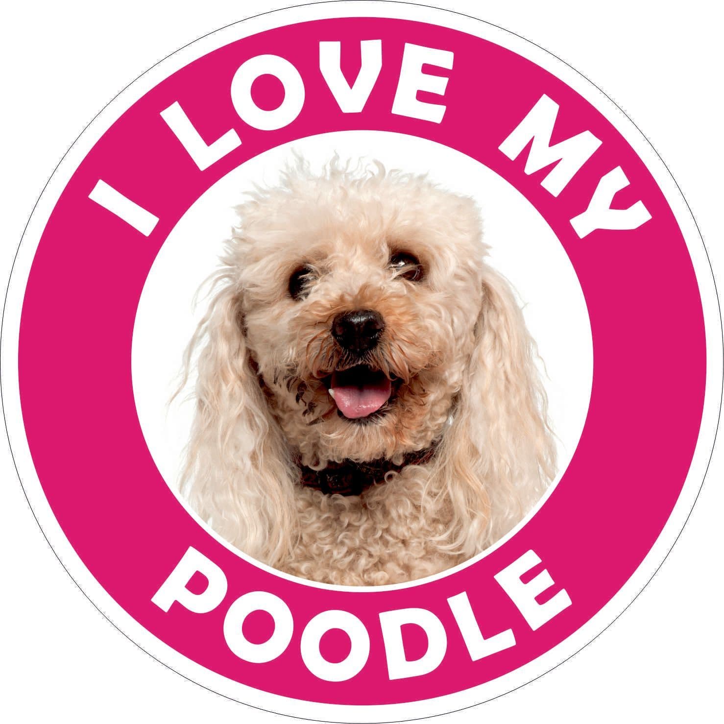 Poodle sticker