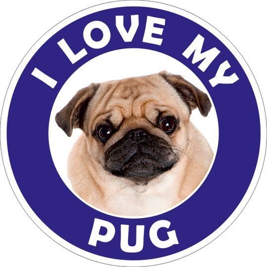 Pug sticker